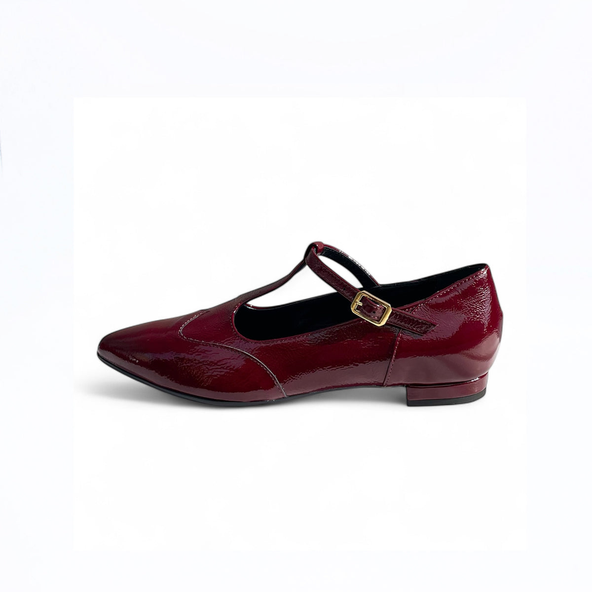 Pumps donna a coda di rondine
